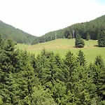 Des Alpes Hotell