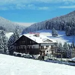 Des Alpes Castione della Presolana