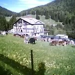 Hotell Des Alpes
