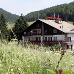 Hotell Des Alpes 3*