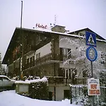 Des Alpes Hotell 3*