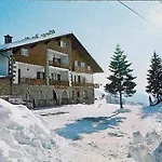 Hotell Des Alpes 3*