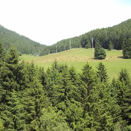 Des Alpes 호텔
