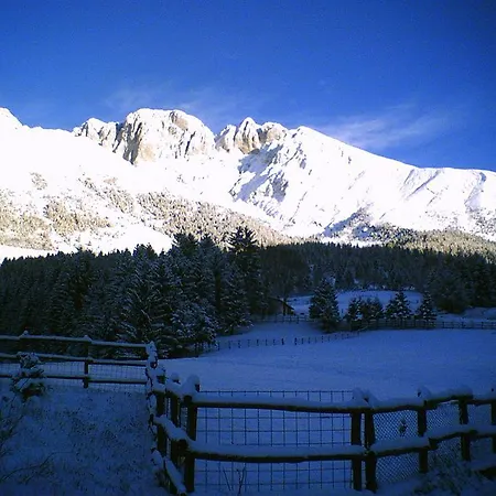 Hotel Des Alpes