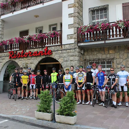 Des Alpes Hotell 3*