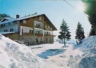 호텔 Des Alpes 3*