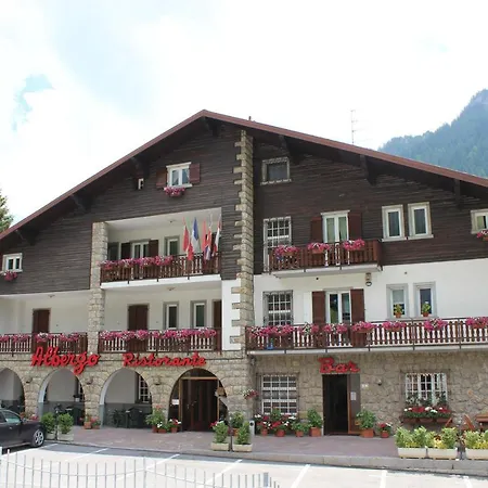 Des Alpes Hotel 3*