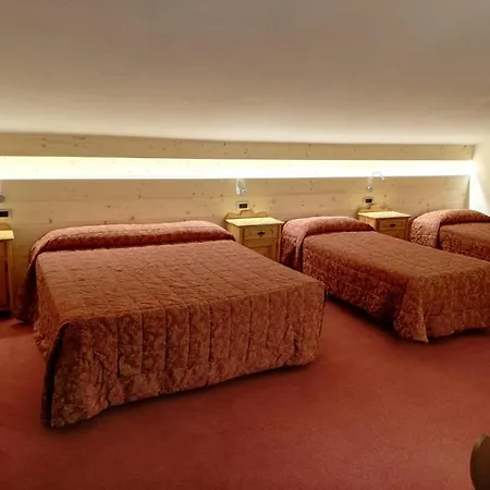 Hotel Des Alpes 3*